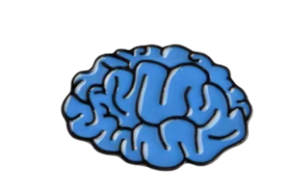 anatomy pin set anatomy pin set