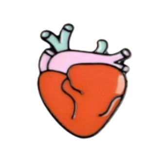 anatomy pin set anatomy pin set