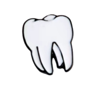 anatomy pin set anatomy pin set