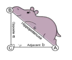 nerdy nature pin set nerdy nature pin set