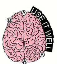 nerdy nature pin set nerdy nature pin set